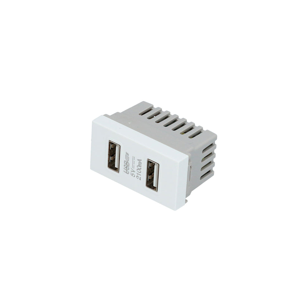 Módulo USB doble 1/3, línea Premium, color blanco Surtek P617B