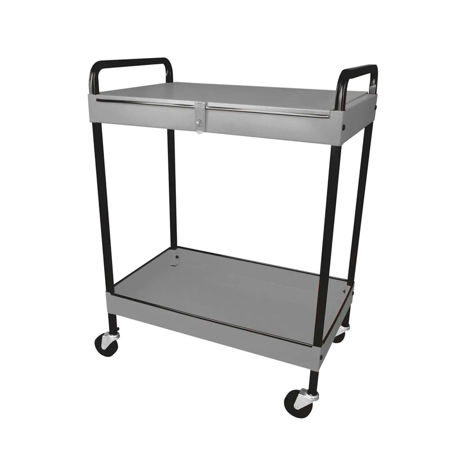 Carro utilitario de lámina 2 niveles 25" Surtek CU2G