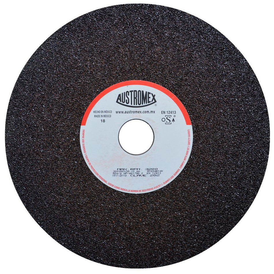 Rueda Abrasiva de 300 x 50 x 38.10 mm pa